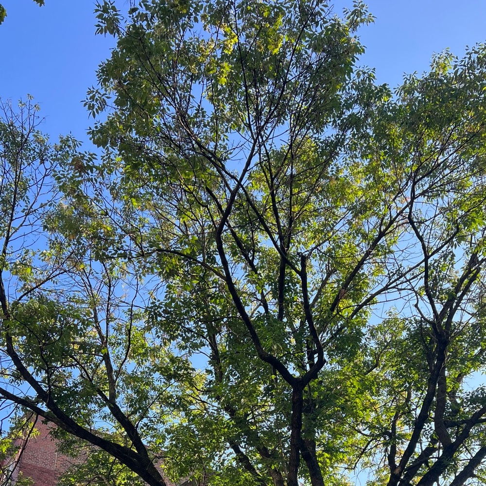 Meet your Posher, Emma